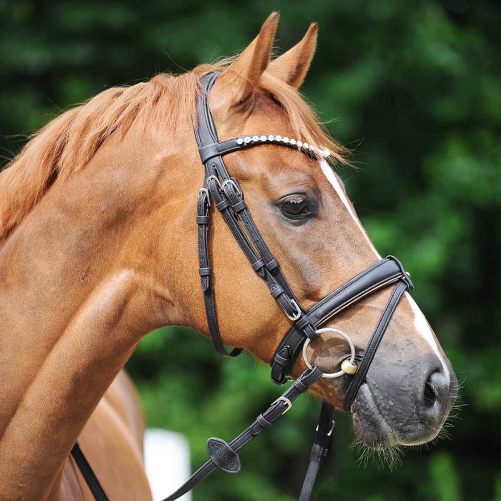 Kavalkade Vegane Trense Cortica aus Kork, engl.-komb. RH für Pony, Vollblut & Warmblut Kavalkade bei SP-Reitsport