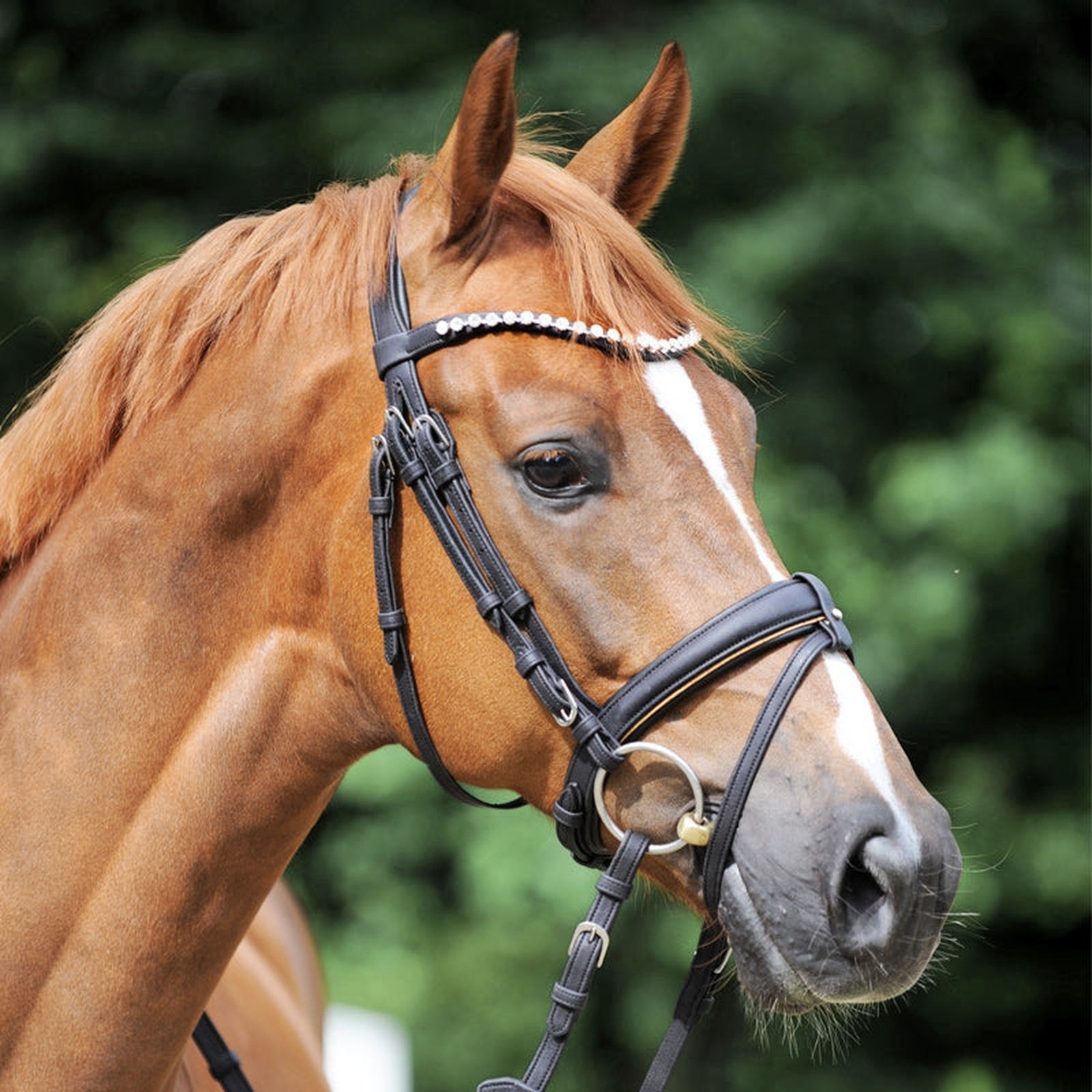 Kavalkade Vegane Trense Cortica aus Kork, engl.-komb. RH für Pony, Vollblut & Warmblut Kavalkade bei SP-Reitsport