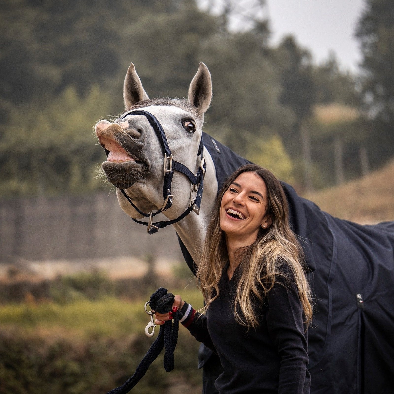 Kingsland Classic Halfter mit Strick in navy & multi bei SP-Reitsport sp-reitsport