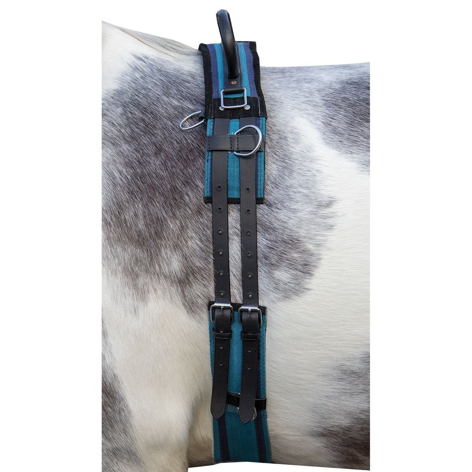 Longiergurt -Canvas- mit Doppelgriff, Gr. Mini-Shetty bis Warmblut, vers. Farben HKM bei SP-Reitsport