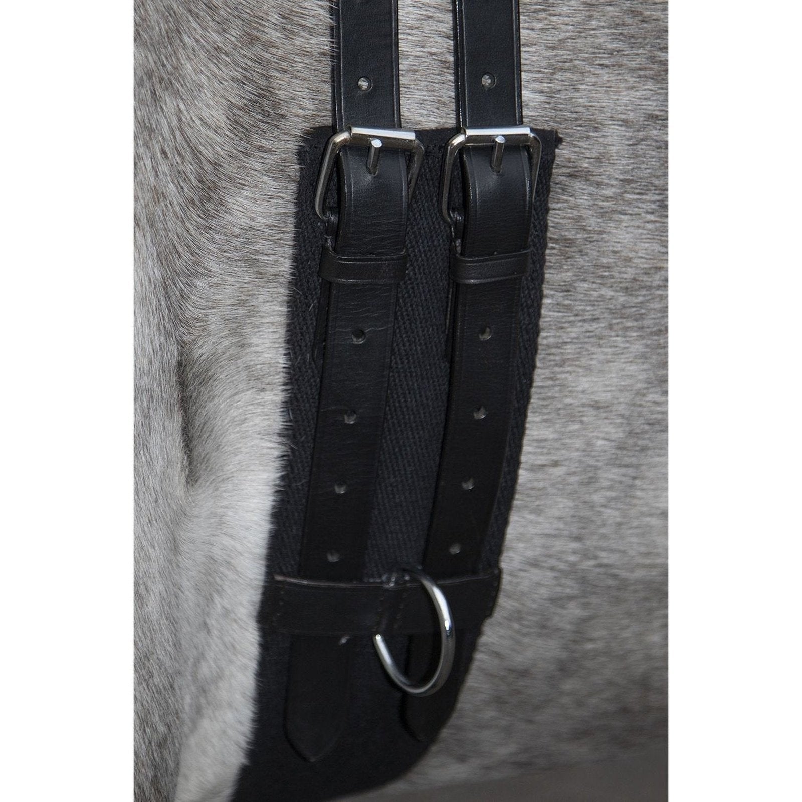 Longiergurt -Canvas- mit Doppelgriff, Gr. Mini-Shetty bis Warmblut, vers. Farben HKM bei SP-Reitsport