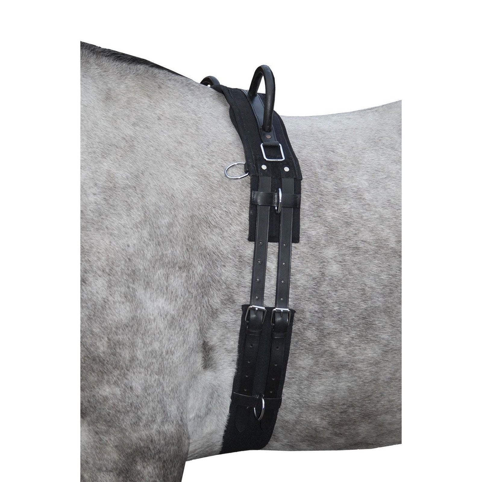 Longiergurt -Canvas- mit Doppelgriff, Gr. Mini-Shetty bis Warmblut, vers. Farben HKM bei SP-Reitsport