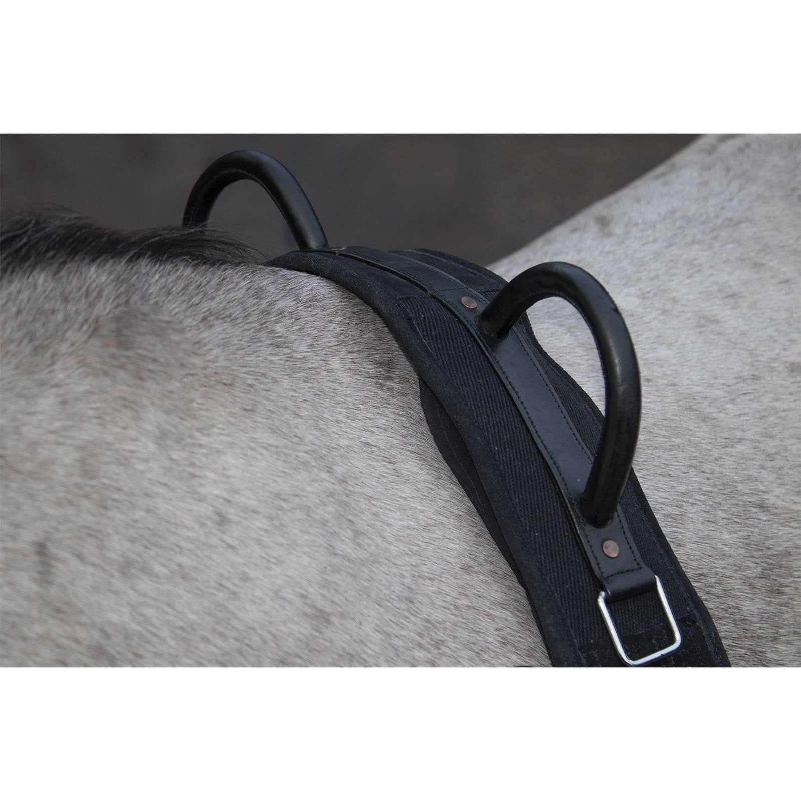 Longiergurt -Canvas- mit Doppelgriff, Gr. Mini-Shetty bis Warmblut, vers. Farben HKM bei SP-Reitsport