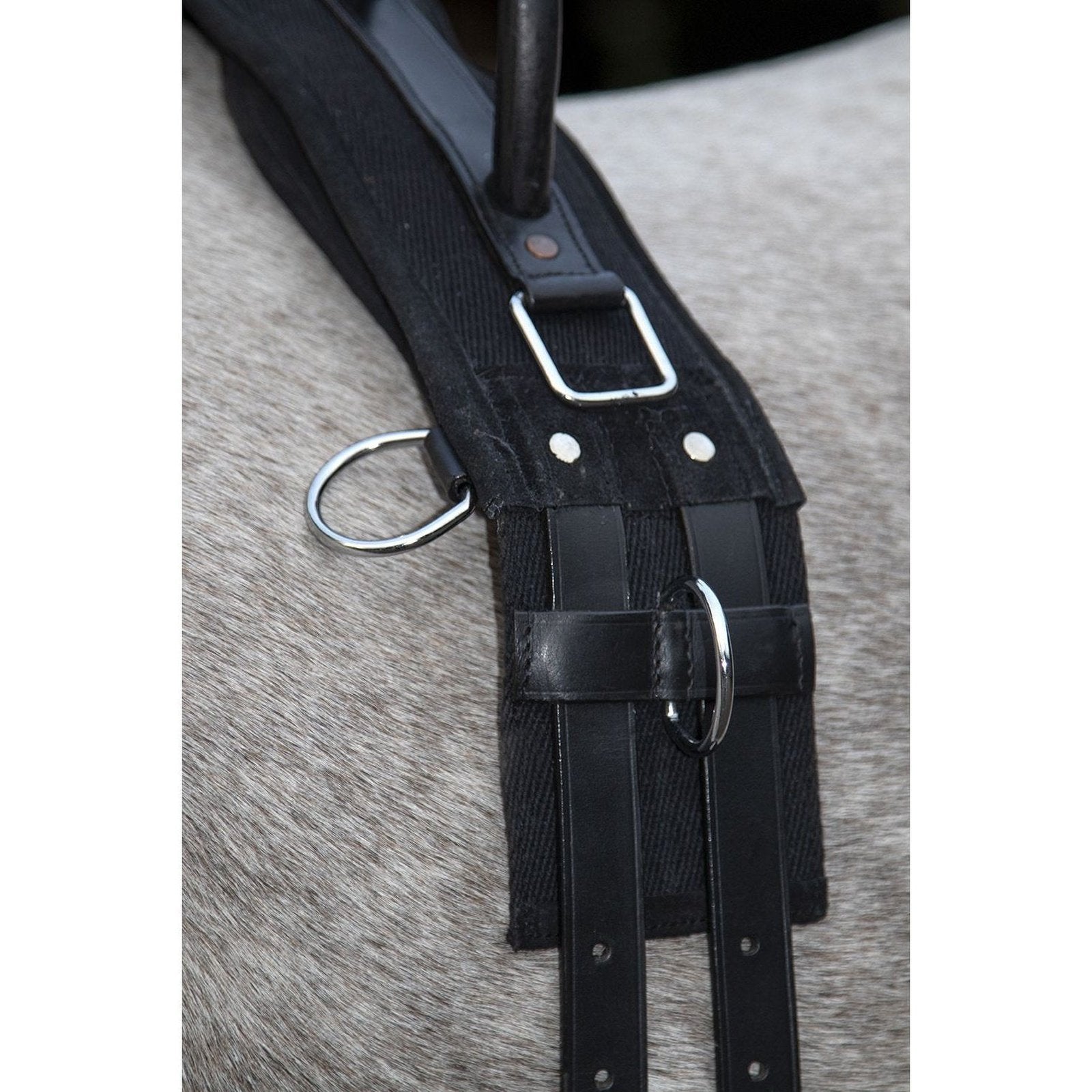 Longiergurt -Canvas- mit Doppelgriff, Gr. Mini-Shetty bis Warmblut, vers. Farben HKM bei SP-Reitsport