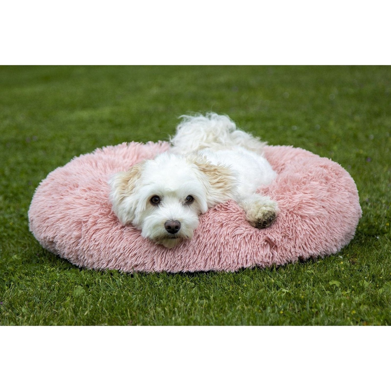 HKM Rundes Hundebett-Hundekissen super weich & flauschig -Fluffy- bei SP-Reitsport sp-reitsport