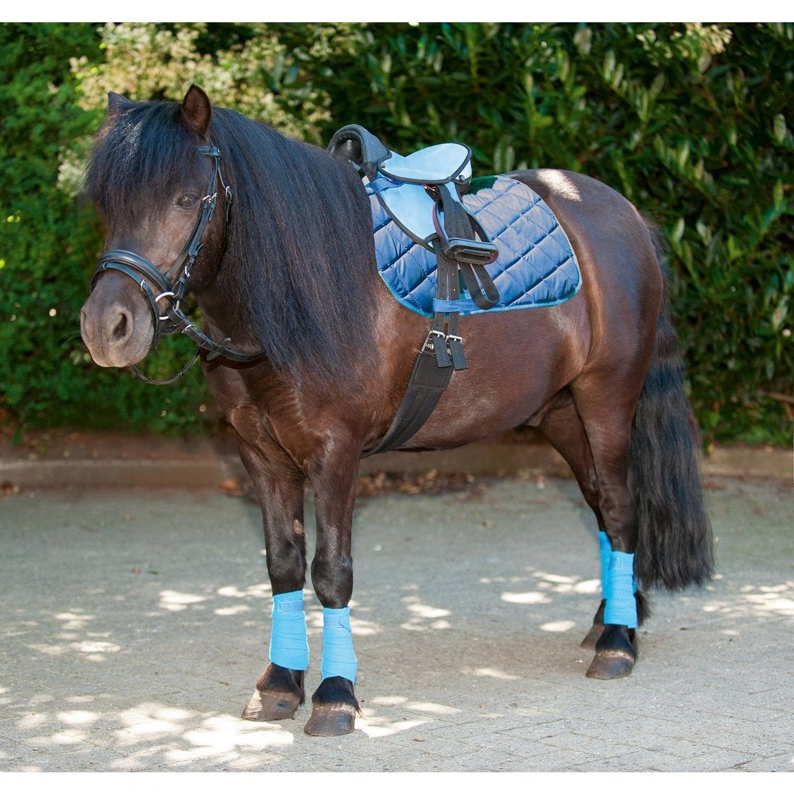 Shettysattel-Set -Beginner- in verschiedenen Farben HKM bei SP-Reitsport