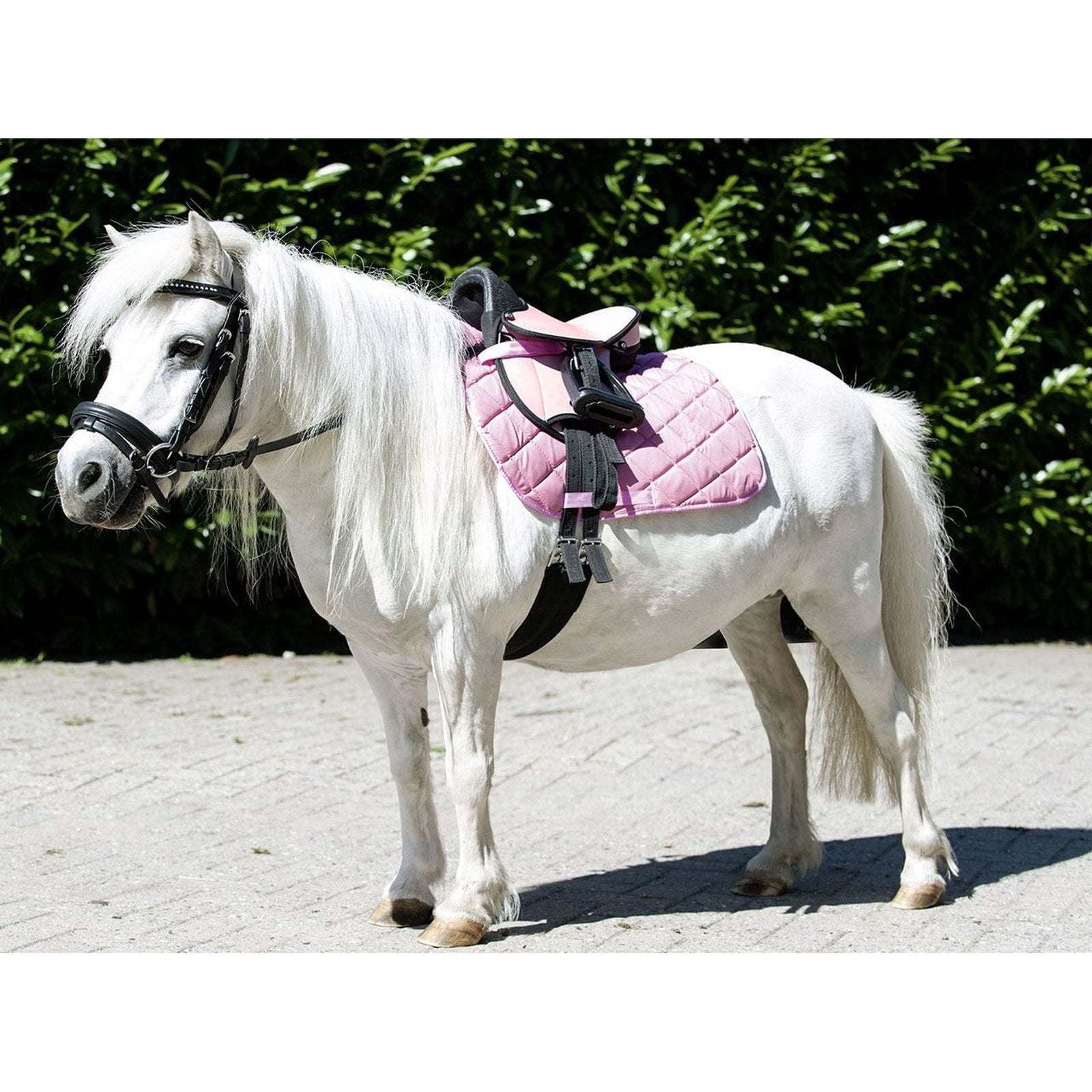 Shettysattel-Set -Beginner- in verschiedenen Farben HKM bei SP-Reitsport