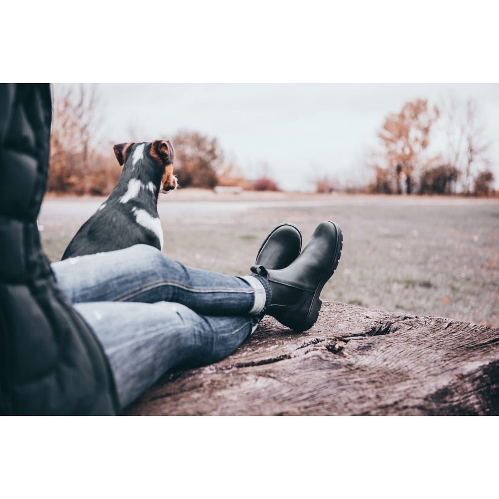 Suedwind 1888 Chelsea Jodhpur-Stiefelette braun & schwarz Größe 37-47 sp-reitsport