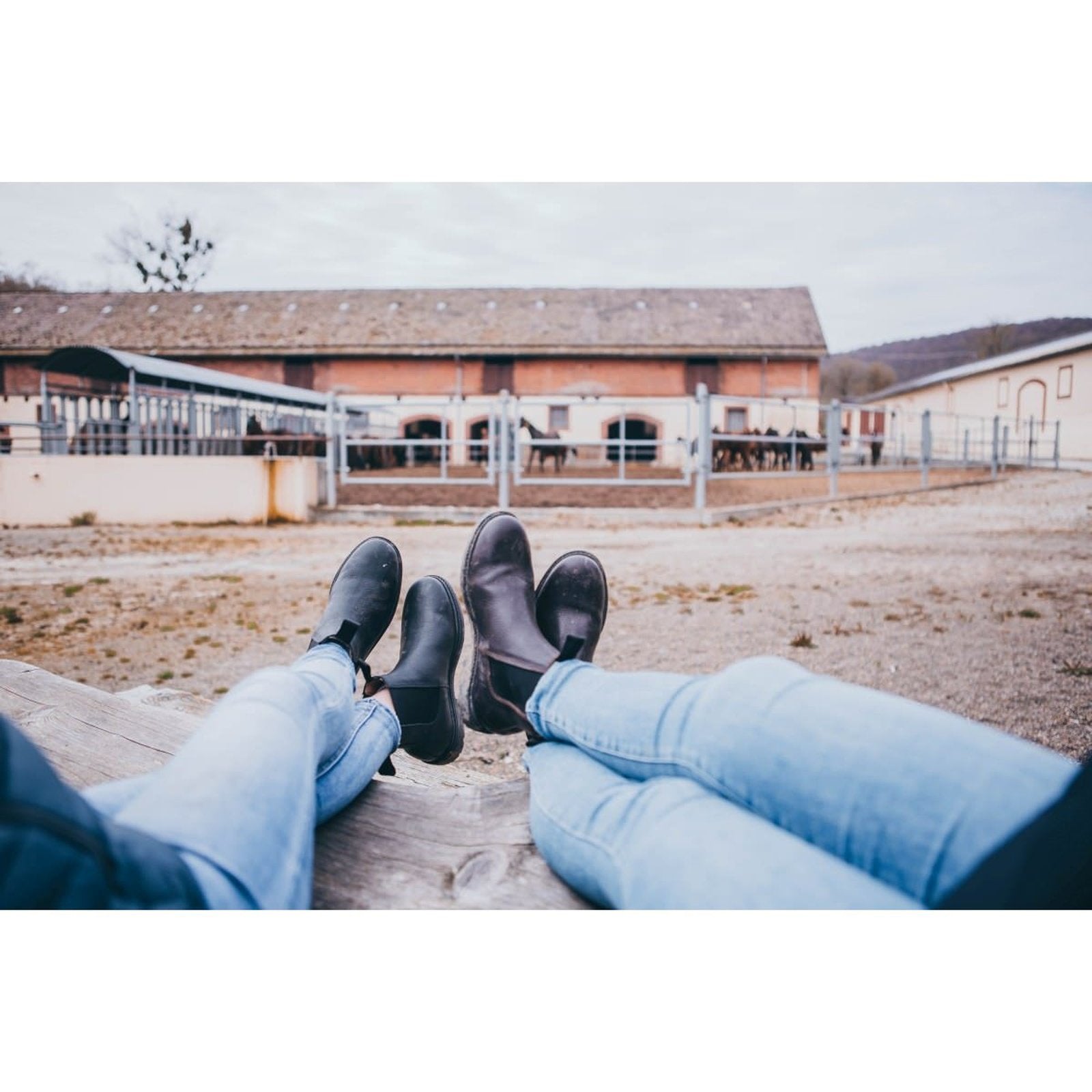 Suedwind 1888 Chelsea Jodhpur-Stiefelette braun & schwarz Größe 37-47 sp-reitsport