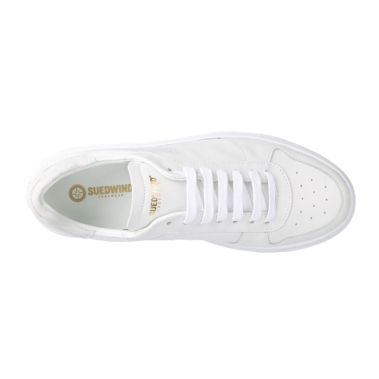 Suedwind "Copenhagen leather" eleganter & chicker Sneaker aus Leder - in schwarz, weiß, stonegrey - Gr.36-45 Suedwind bei SP-Reitsport