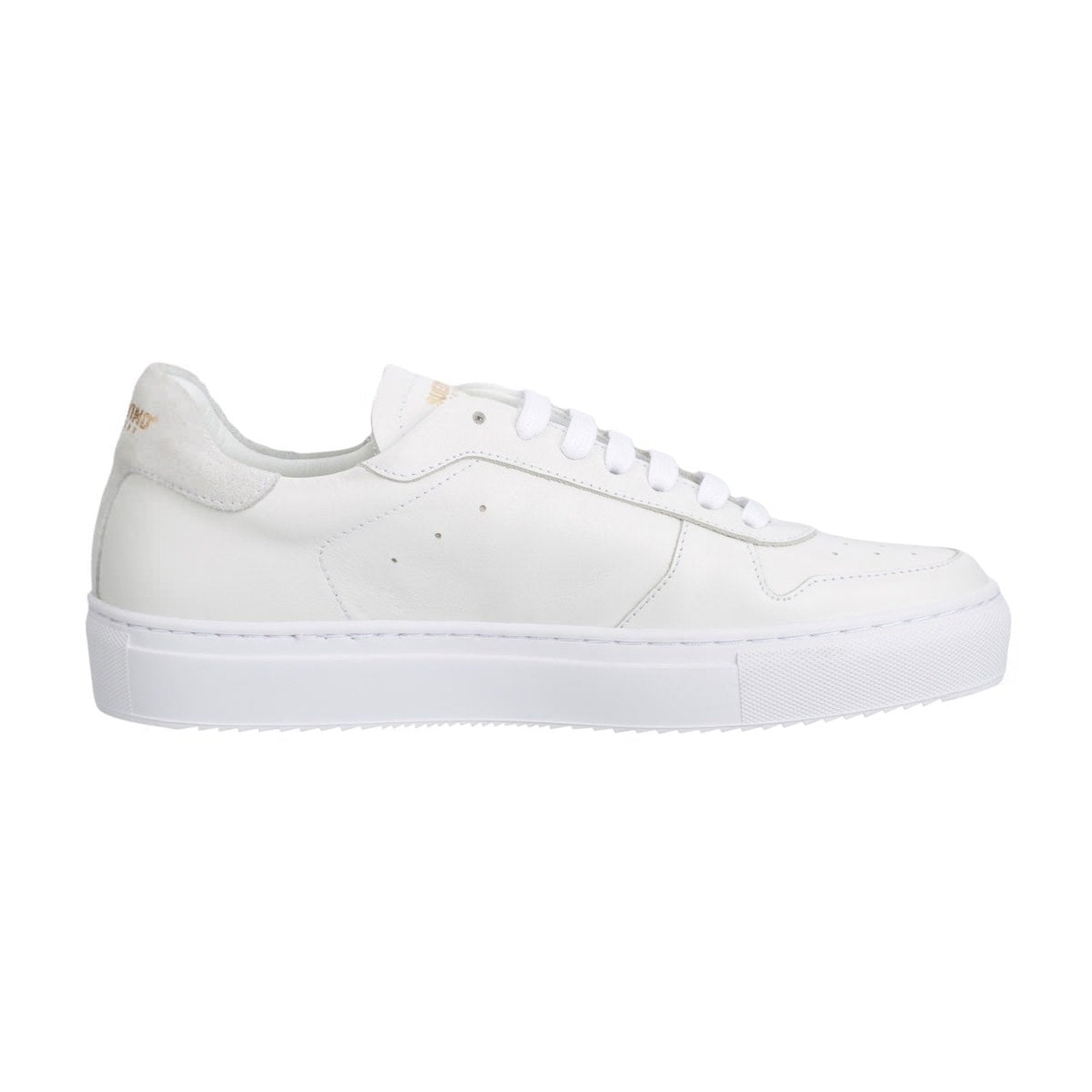 Suedwind "Copenhagen leather" eleganter & chicker Sneaker aus Leder - in schwarz, weiß, stonegrey - Gr.36-45 Suedwind bei SP-Reitsport