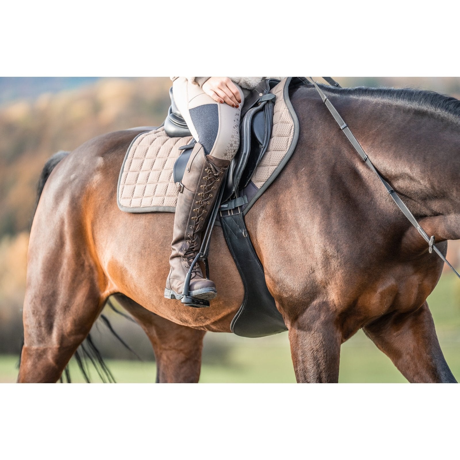 Suedwind LONGFORD | Waterproof Suedwind bei SP-Reitsport