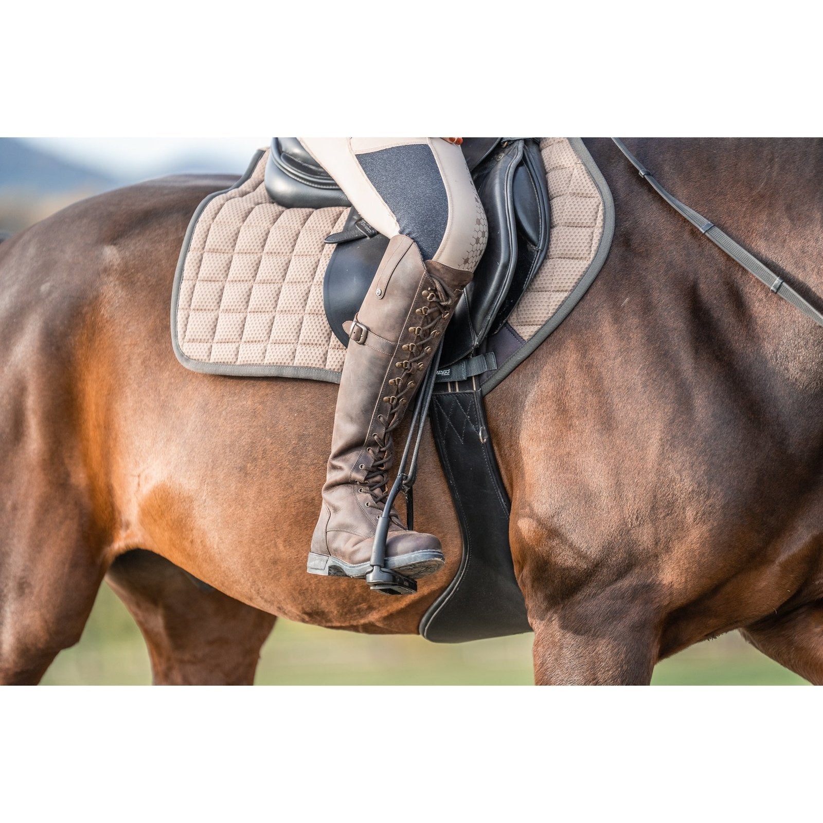 Suedwind LONGFORD | Waterproof Suedwind bei SP-Reitsport