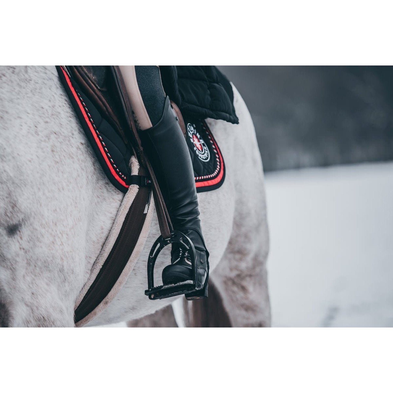 Suedwind Leder Chaps Comfort Fit black/schwarz Suedwind bei SP-Reitsport