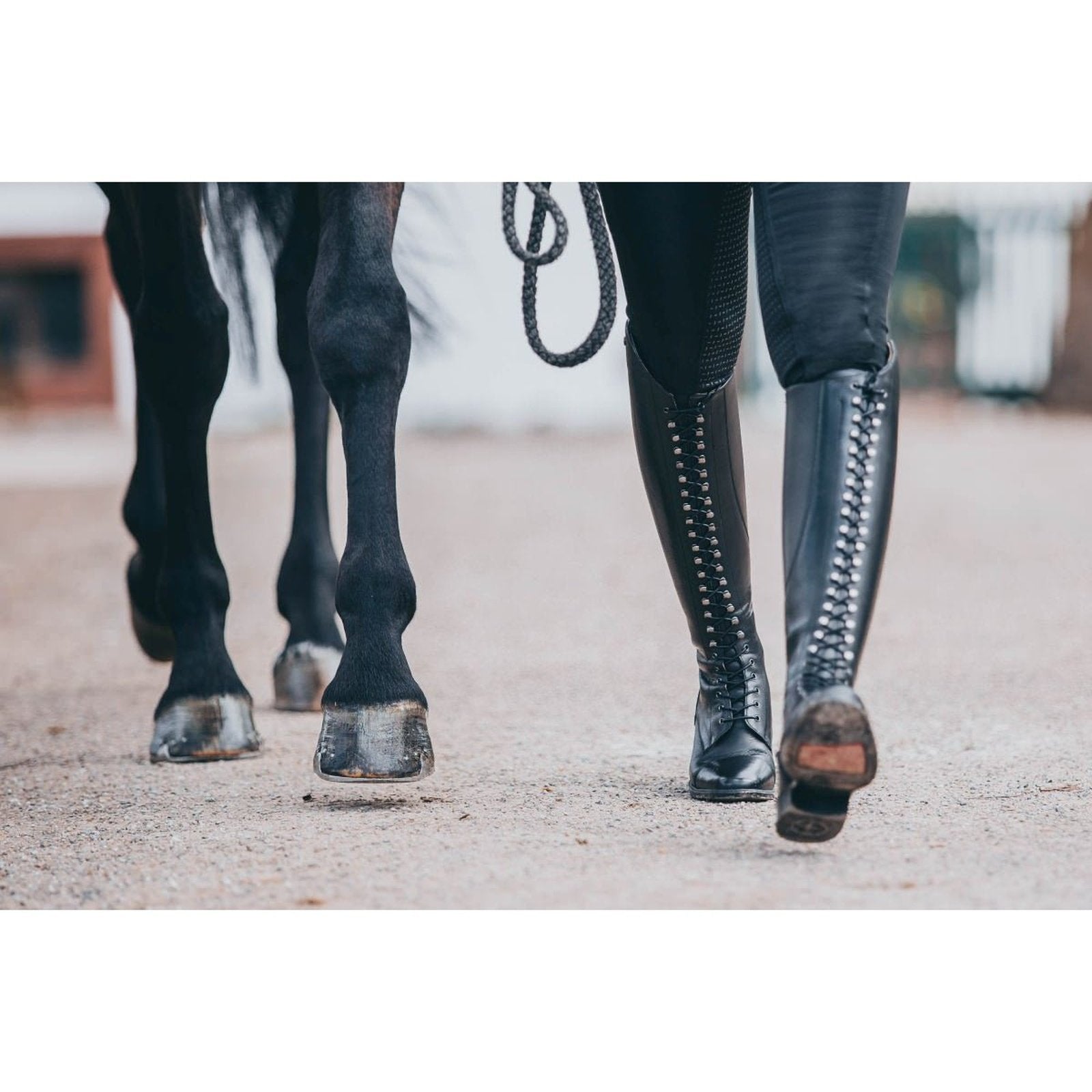 Suedwind Leder Reitstiefel mit kompleter Schnürrung -Legacy Venado- schwarz & braun Suedwind bei SP-Reitsport