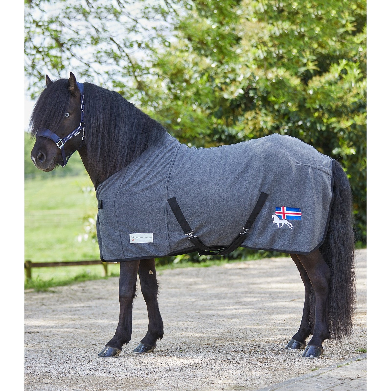 Waldhausen Guêtres Soft Dressage Noir Waldhausen Guêtres Soft Dressage Noir