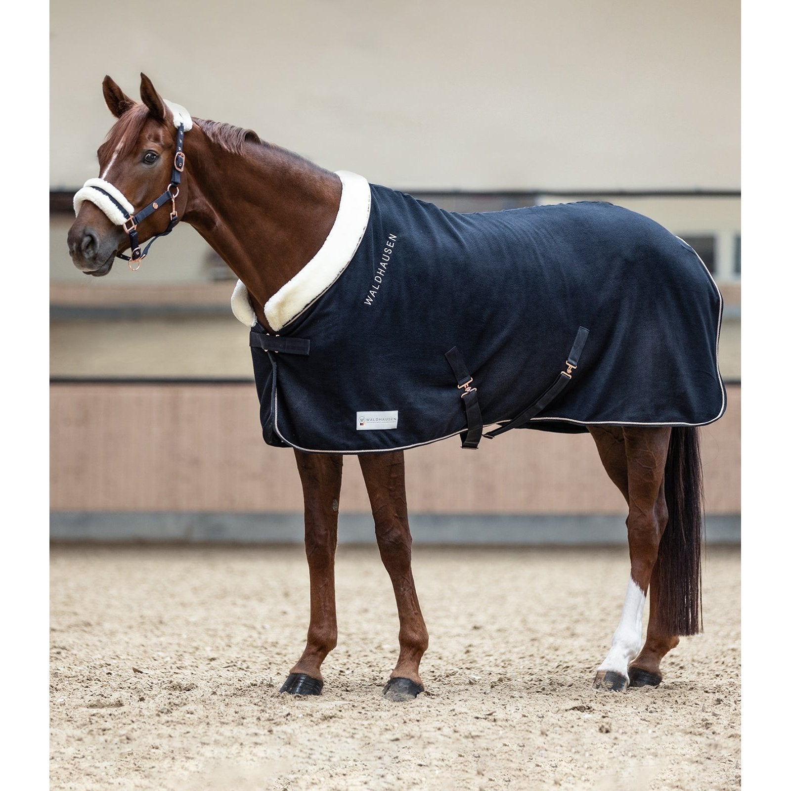 Waldhausen Fleecedecke/ Abschwitzdecke Modern Rosé bei SP-Reitsport sp-reitsport