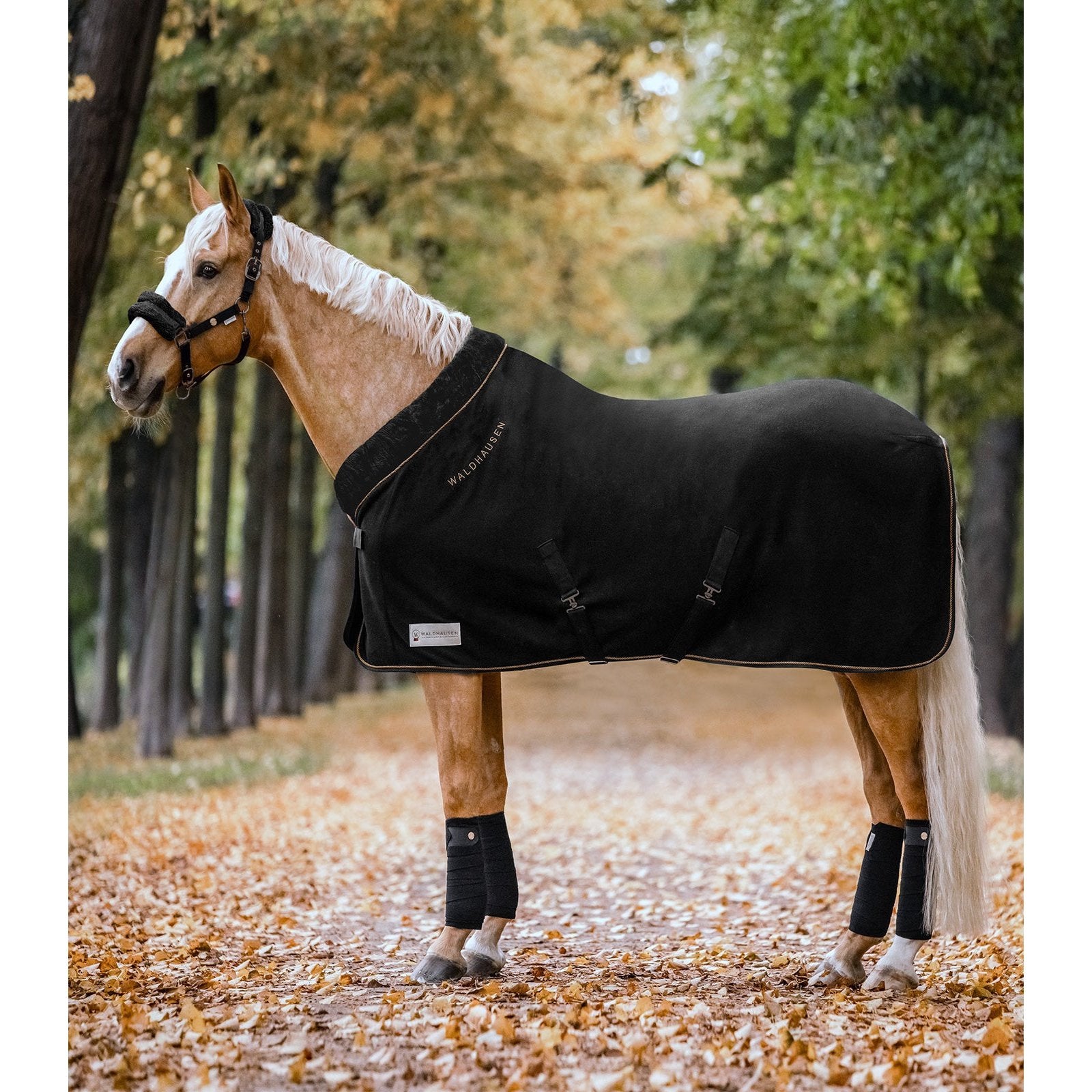 Waldhausen Fleecedecke/ Abschwitzdecke Modern Rosé bei SP-Reitsport sp-reitsport