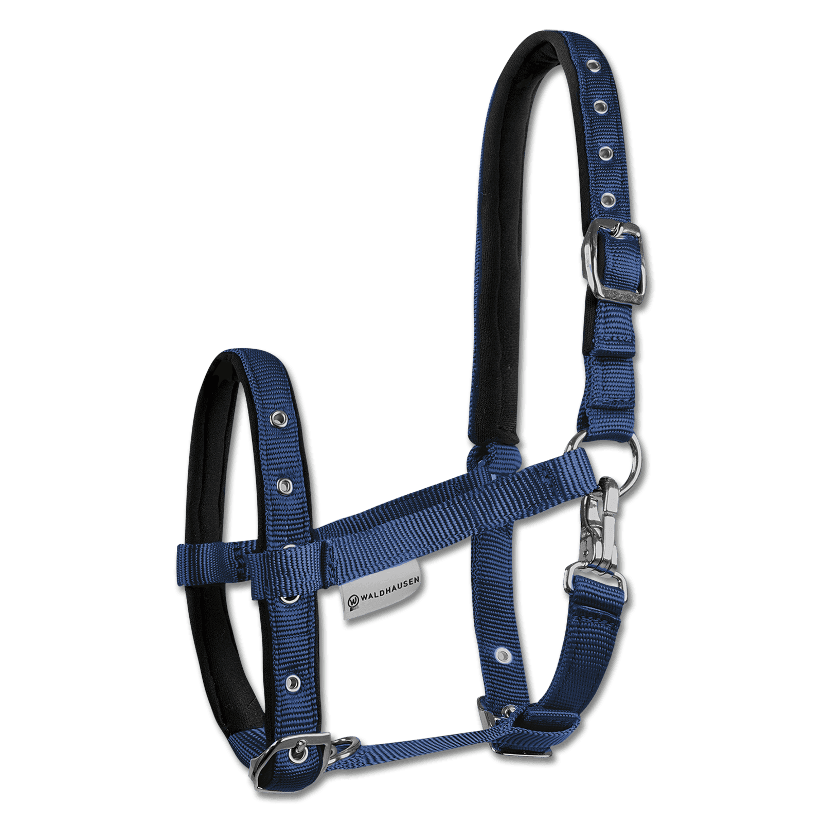 Waldhausen Fohlenhalfter Comfort bei SP-Reitsport Waldhausen bei SP-Reitsport