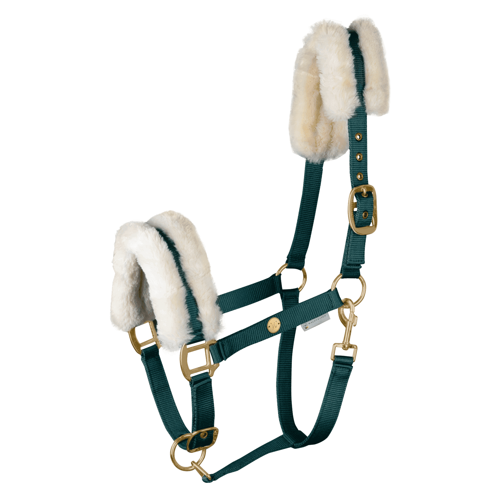 Waldhausen Halfter Modern Rosé bei SP-Reitsport Waldhausen bei SP-Reitsport