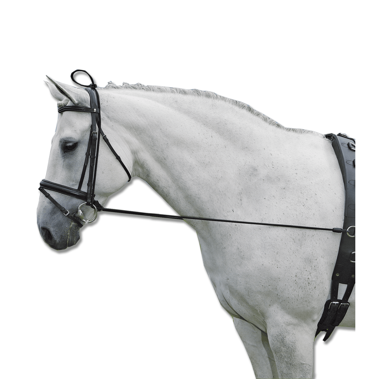 Waldhausen Halsverlängerer Elastic bei SP-Reitsport Waldhausen bei SP-Reitsport