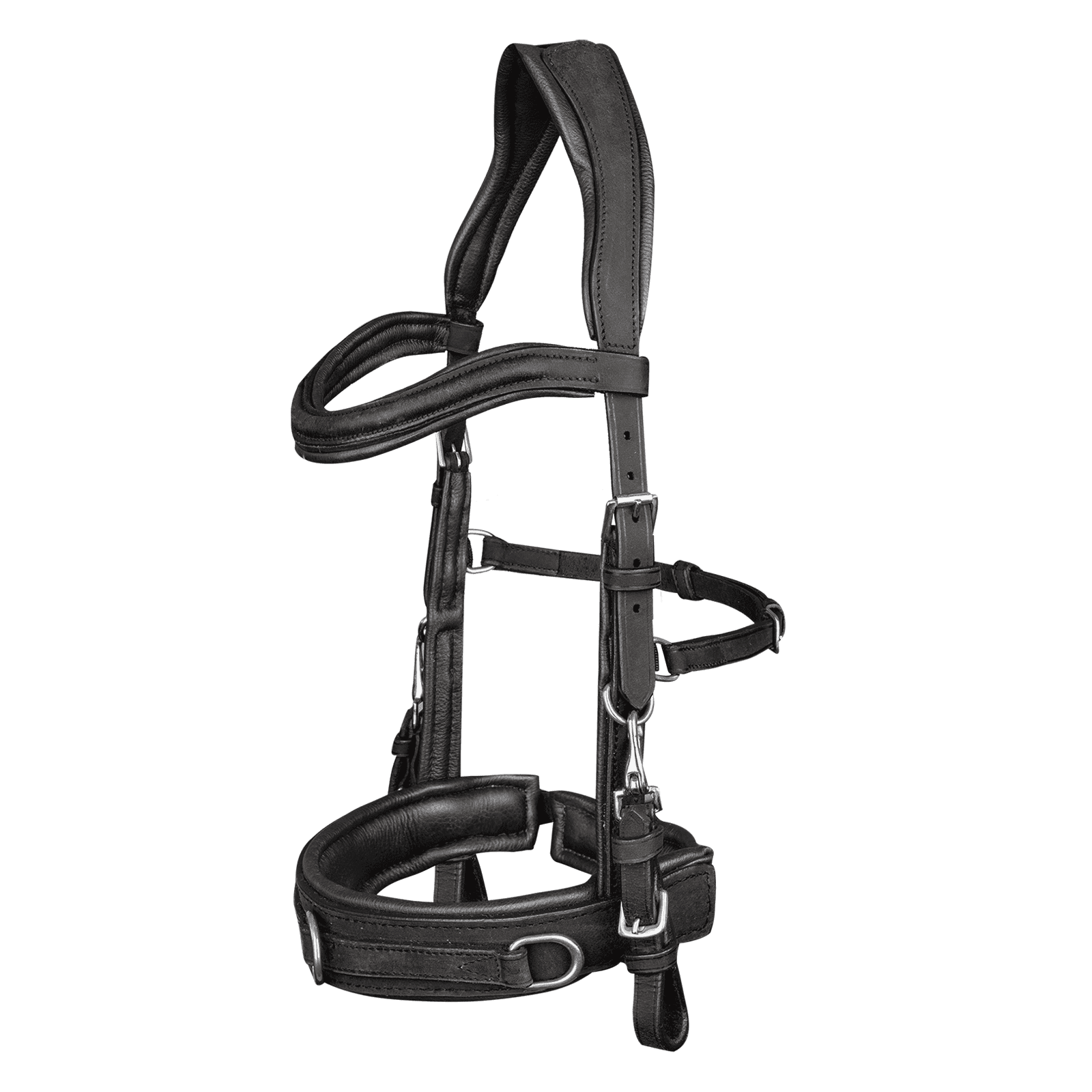 Waldhausen Kappzaum aus Leder anatomic in braun & schwarz bei SP-Reitsport Waldhausen bei SP-Reitsport