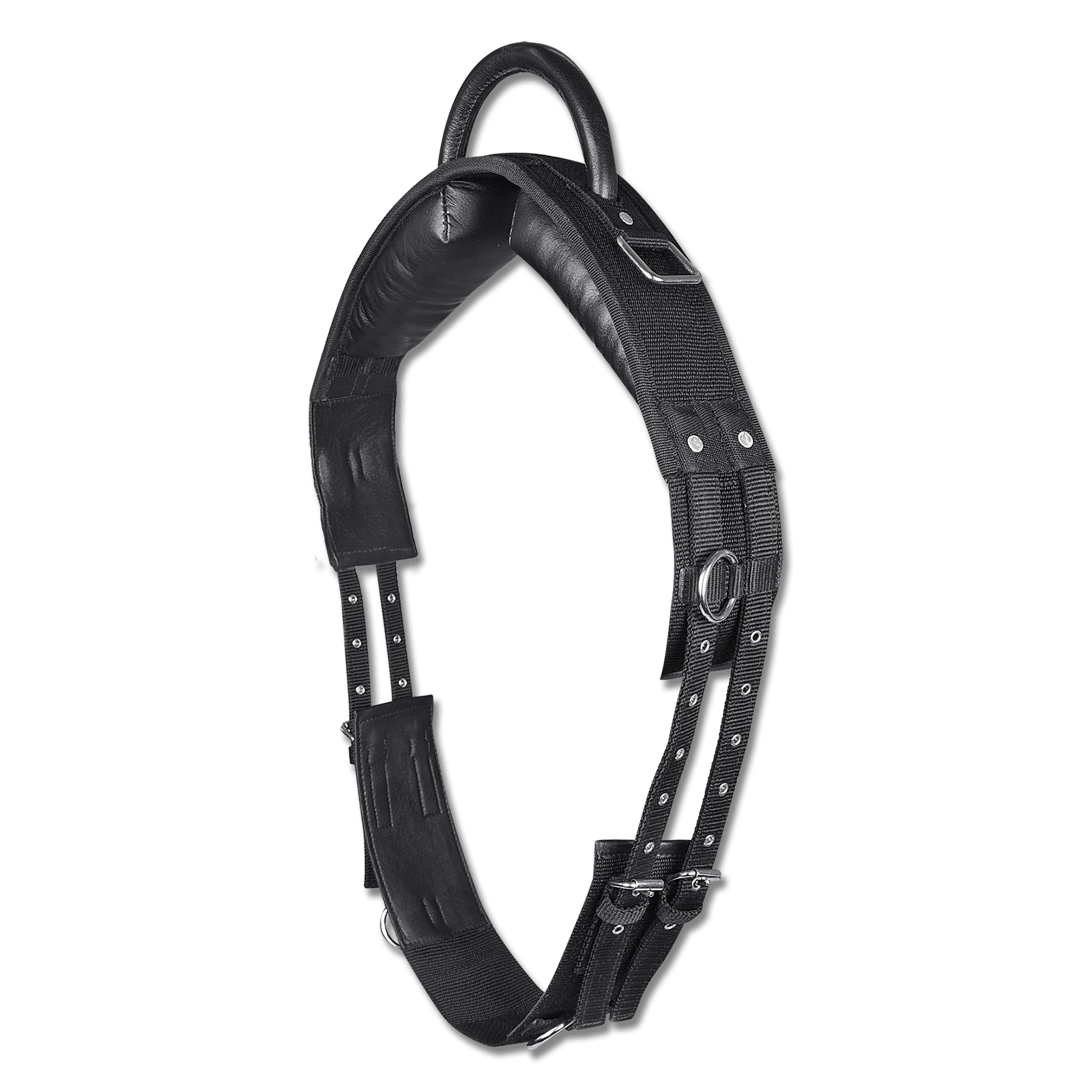 Waldhausen Longiergurt mit Handgriff bei SP-Reitsport sp-reitsport