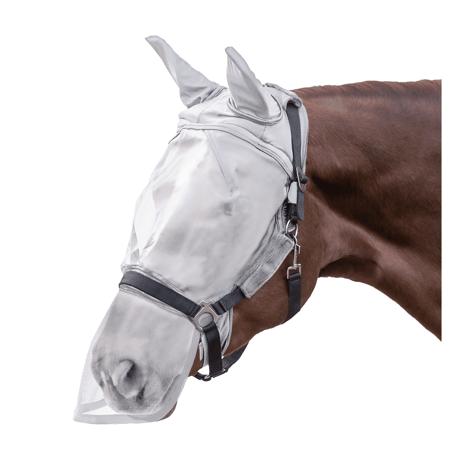 Waldhausen PREMIUM Fliegenmaske, mit Ohren- und Nasenschutz bei SP-Reitsport sp-reitsport