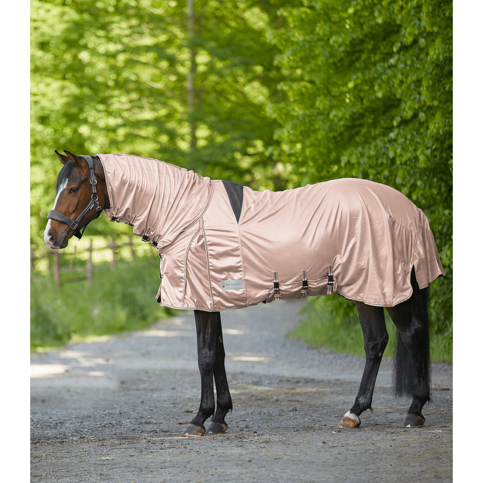 Waldhausen PROTECT Ekzemer-Fliegendecke bei SP-Reitsport Waldhausen bei SP-Reitsport