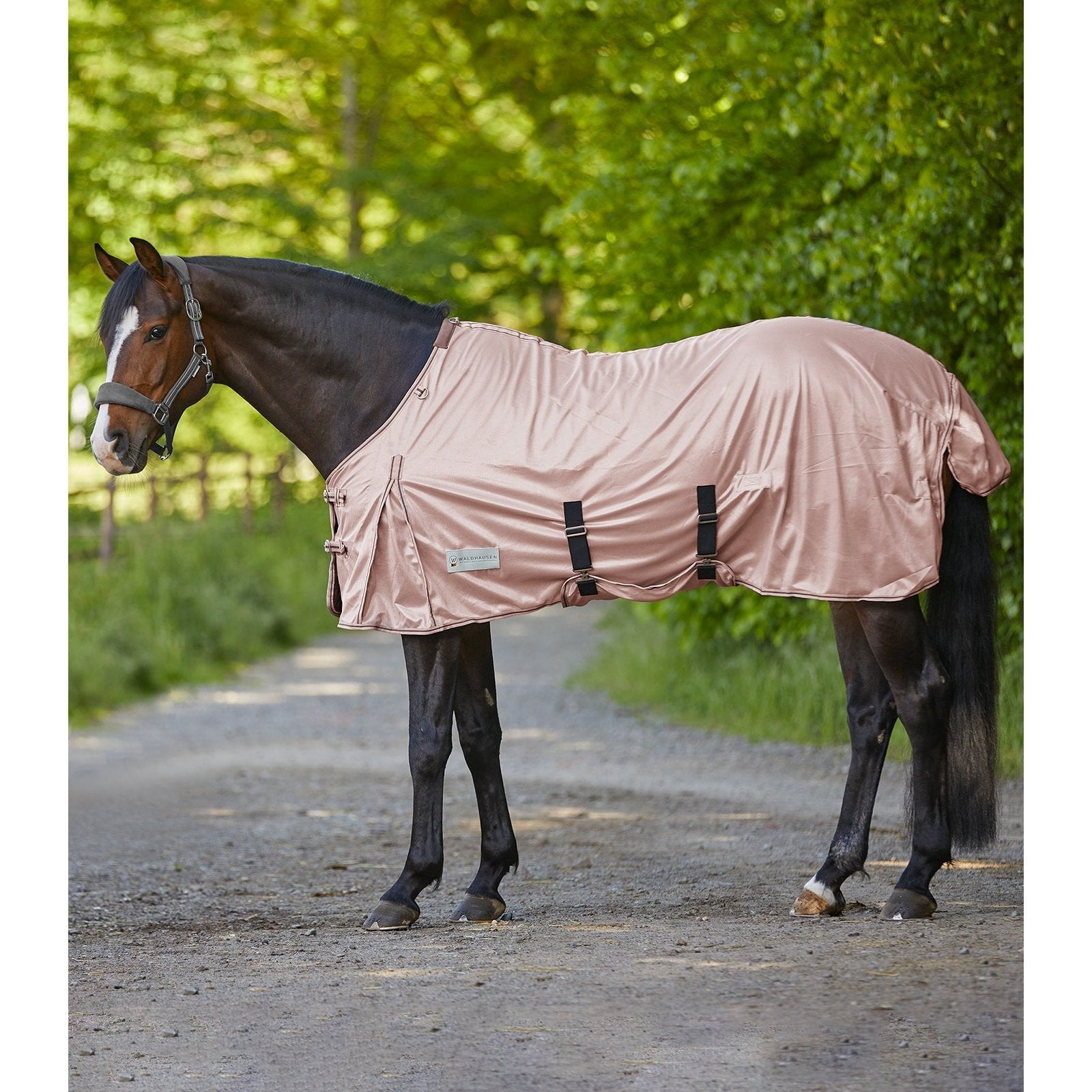Waldhausen PROTECT Fliegendecke bei SP-Reitsport sp-reitsport