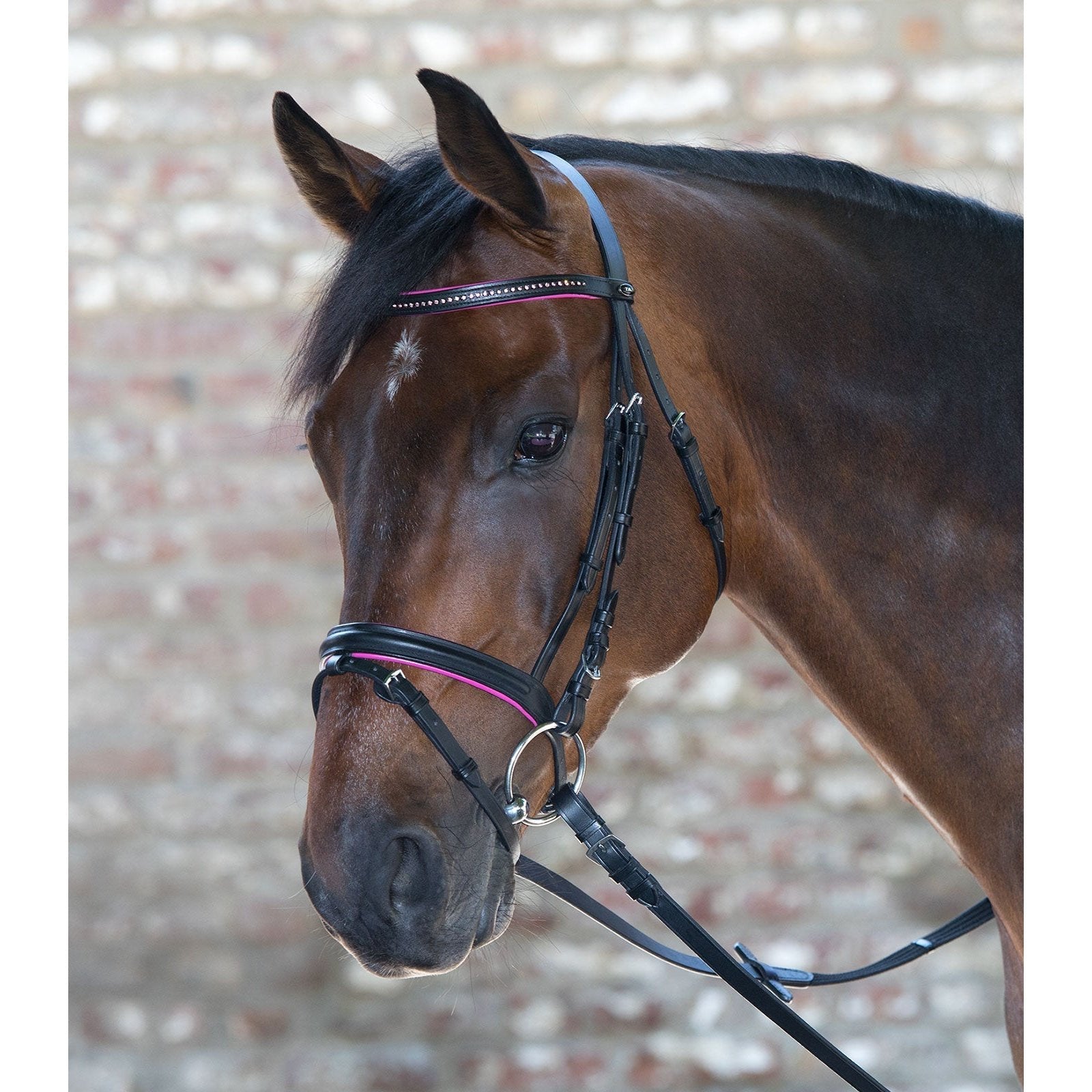 Waldhausen STAR Trensenzaum Diamond bei SP-Reitsport Waldhausen bei SP-Reitsport