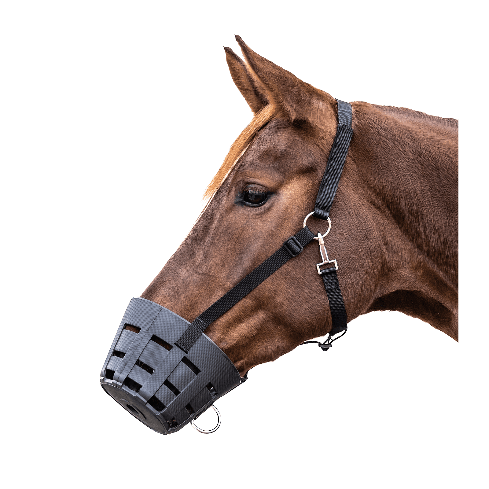 Waldhausen TPU Maulkorb EasyClean bei SP-Reitsport sp-reitsport