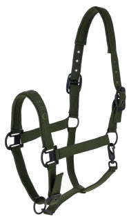 Covalliero Halfter Herbst/Winter 2026 – Forest Green & Orange sp-reitsport