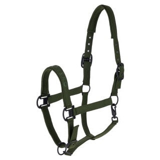 Covalliero Halfter Herbst/Winter 2026 – Forest Green & Orange sp-reitsport