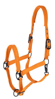 Covalliero Halfter Herbst/Winter 2026 – Forest Green & Orange sp-reitsport