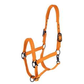 Covalliero Halfter Herbst/Winter 2026 – Forest Green & Orange sp-reitsport