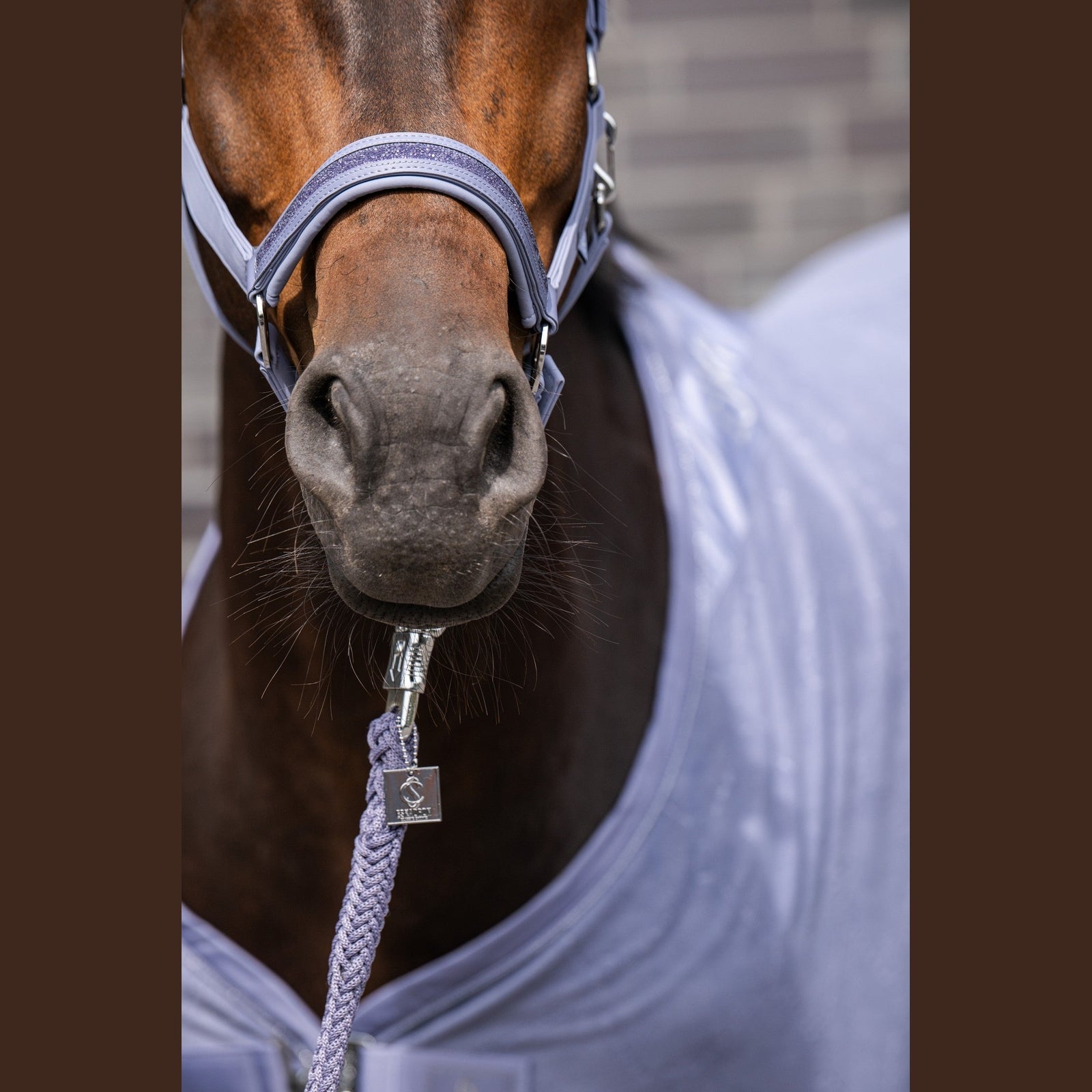 ESKADRON Classic Sports 26 Halfter Softshell Jewel / Glitzer Double Pin navy sp-reitsport