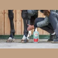 leovet COLD PACK PLUS bei SP-Reitsport