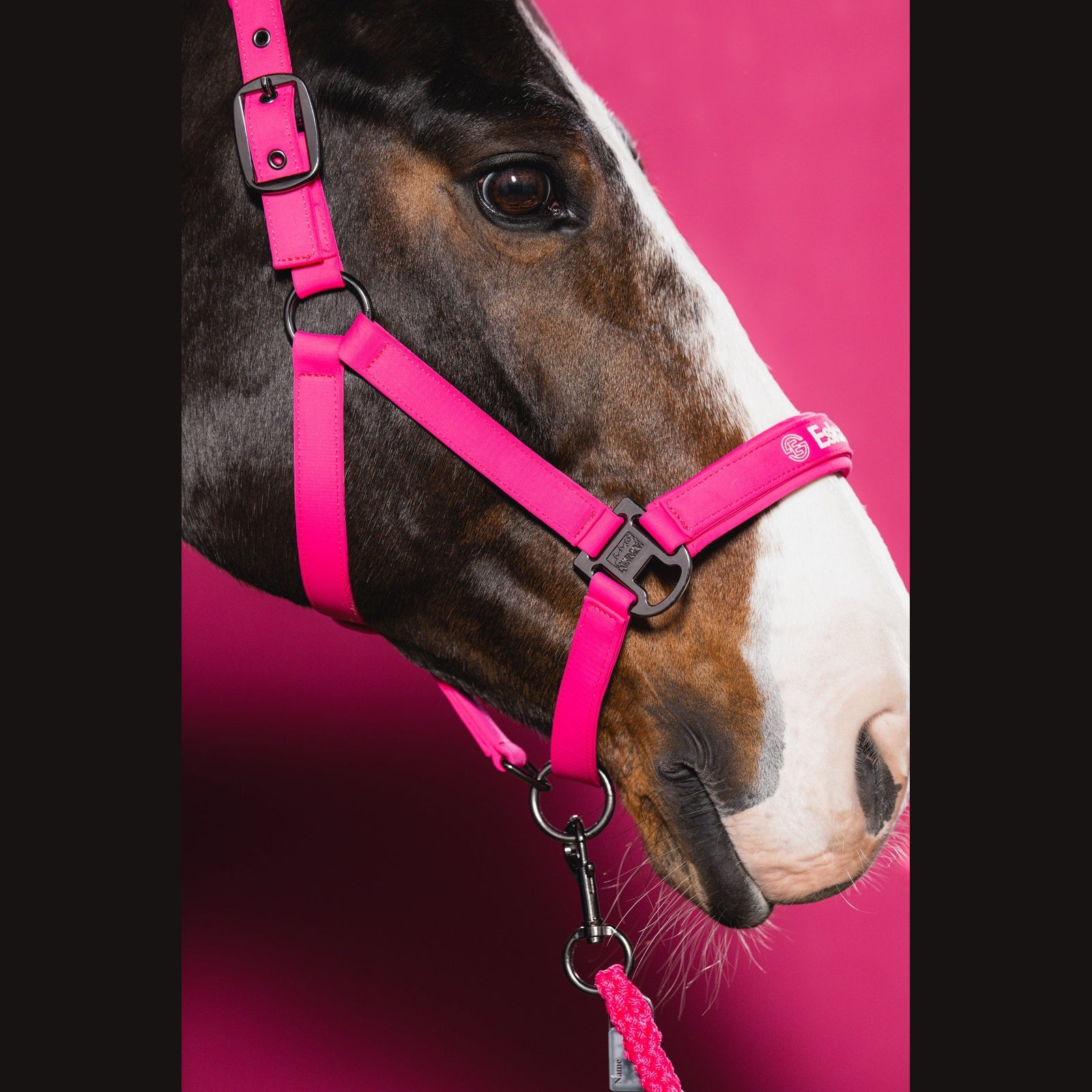 ESKADRON DYNAMIC 26 Strick >REGULAR< Panikhaken lipstick / pink sp-reitsport