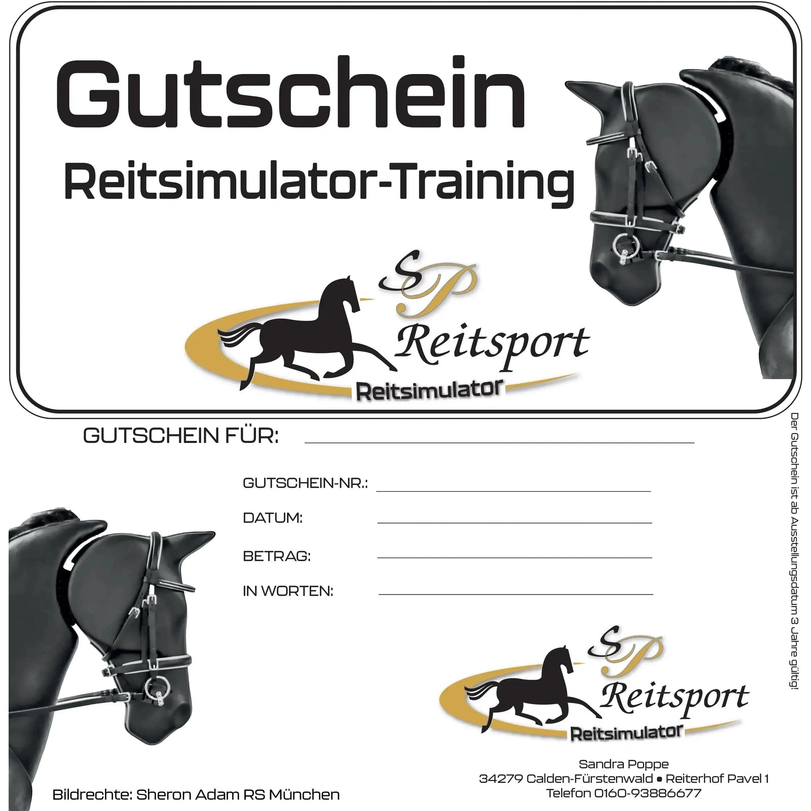 Gutschein Reitsimulator-Training