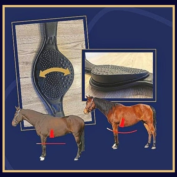 JH-Reitsport Korrektur-Sattelgurt "FREEDOM" 40-160cm für alle Pferde
