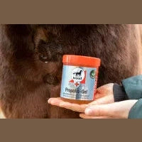 leovet ERSTE HILFE Propolis Gel bei SP-Reitsport