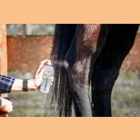 leovet ERSTE HILFE Zinkoxid Spray bei SP-Reitsport
