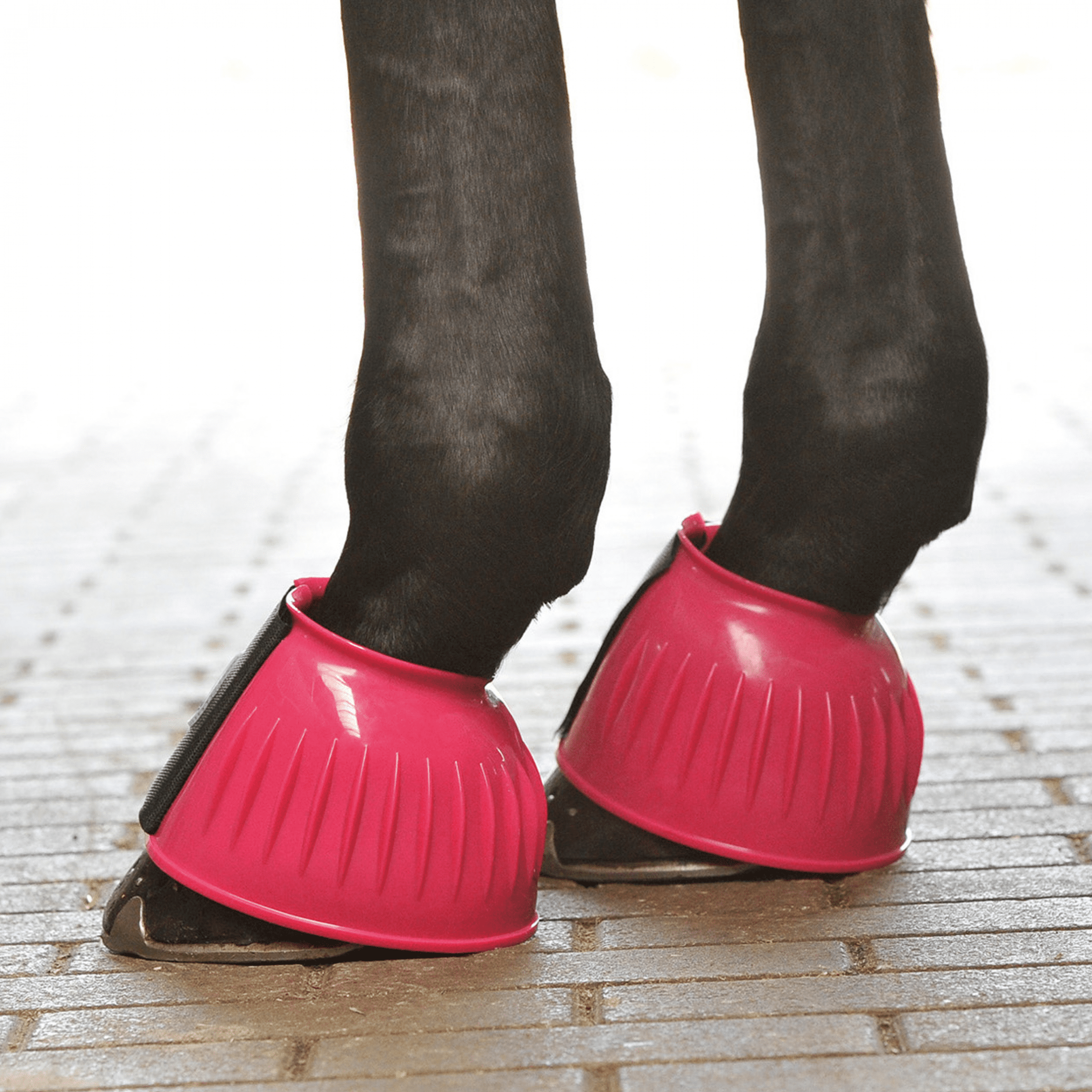 BUSSE besonders stabile Gummi Hufglocken STURDY Doppelklett Verschluss bei SP-Reitsport sp-reitsport