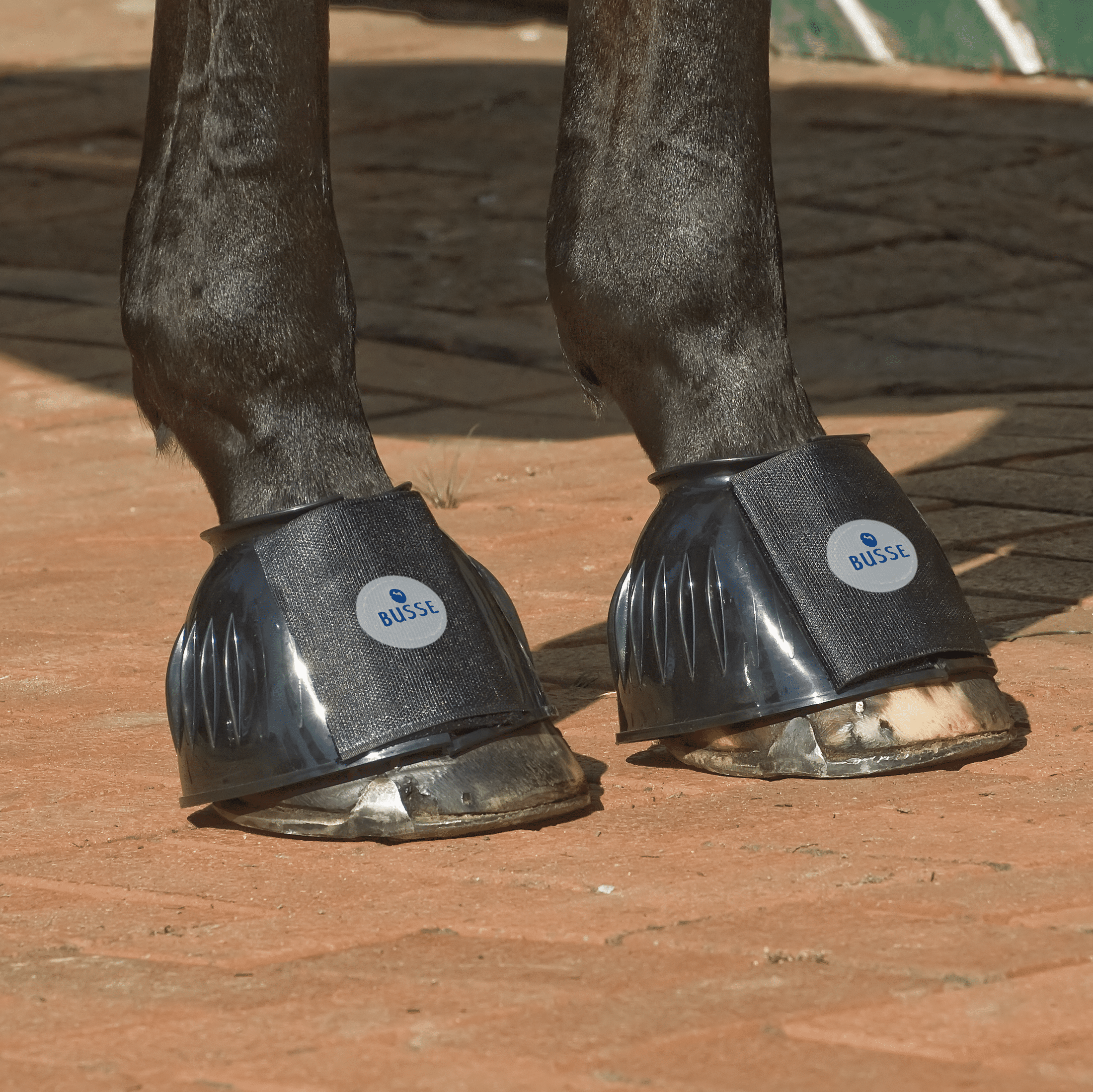 BUSSE besonders stabile Gummi Hufglocken STURDY Doppelklett Verschluss bei SP-Reitsport sp-reitsport